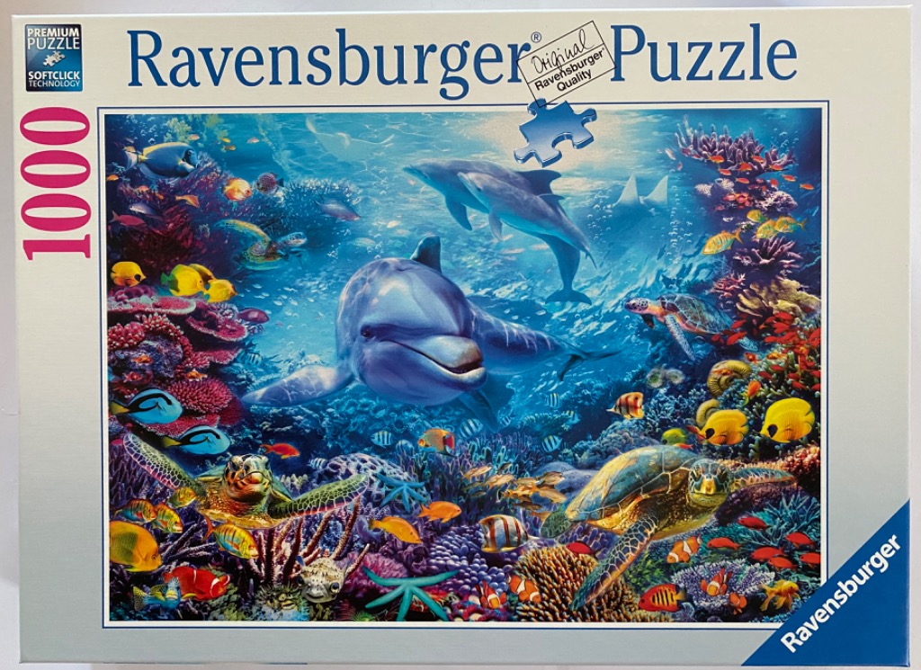 Underwater scene with dolphins, sea turtles, and colorful tropical fish swimming among a vibrant coral reef.