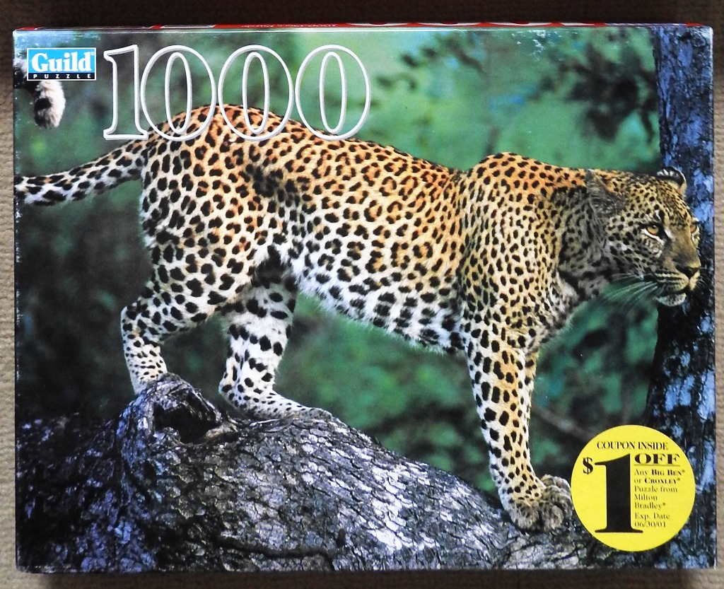 A leopard stands on a thick tree limb against a blurred forest background.