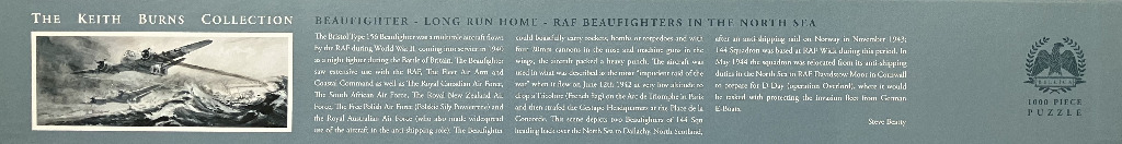 Beaufighter - Long Run Home - RAF Beaufighters in the North Sea