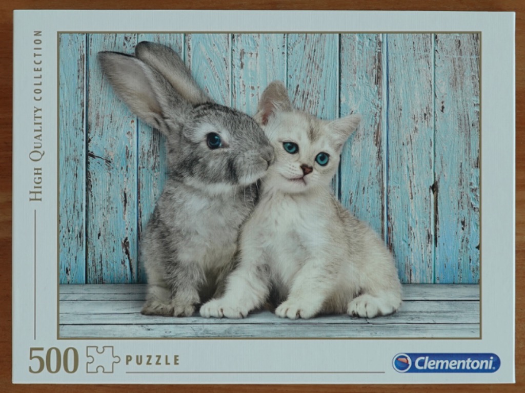 A fluffy grey rabbit and a light-coloured kitten sitting side-by-side against a rustic, distressed blue wooden wall.