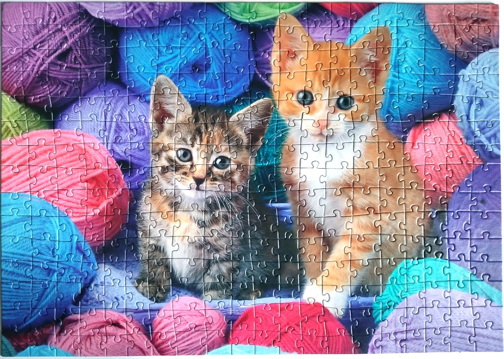 Two kittens sitting among a collection of colorful yarn balls