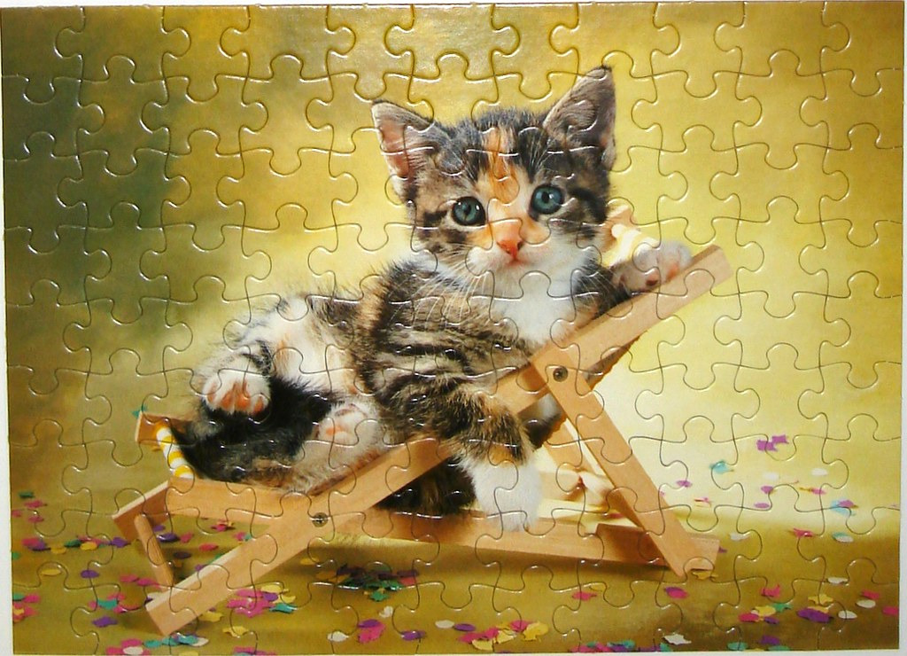 A small calico tabby kitten lounging in a miniature wooden deck chair against a gold background.