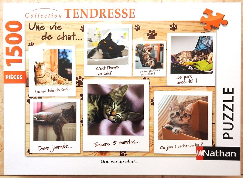 A collection of six polaroid-style photos of cats on a light wood background with paw prints.