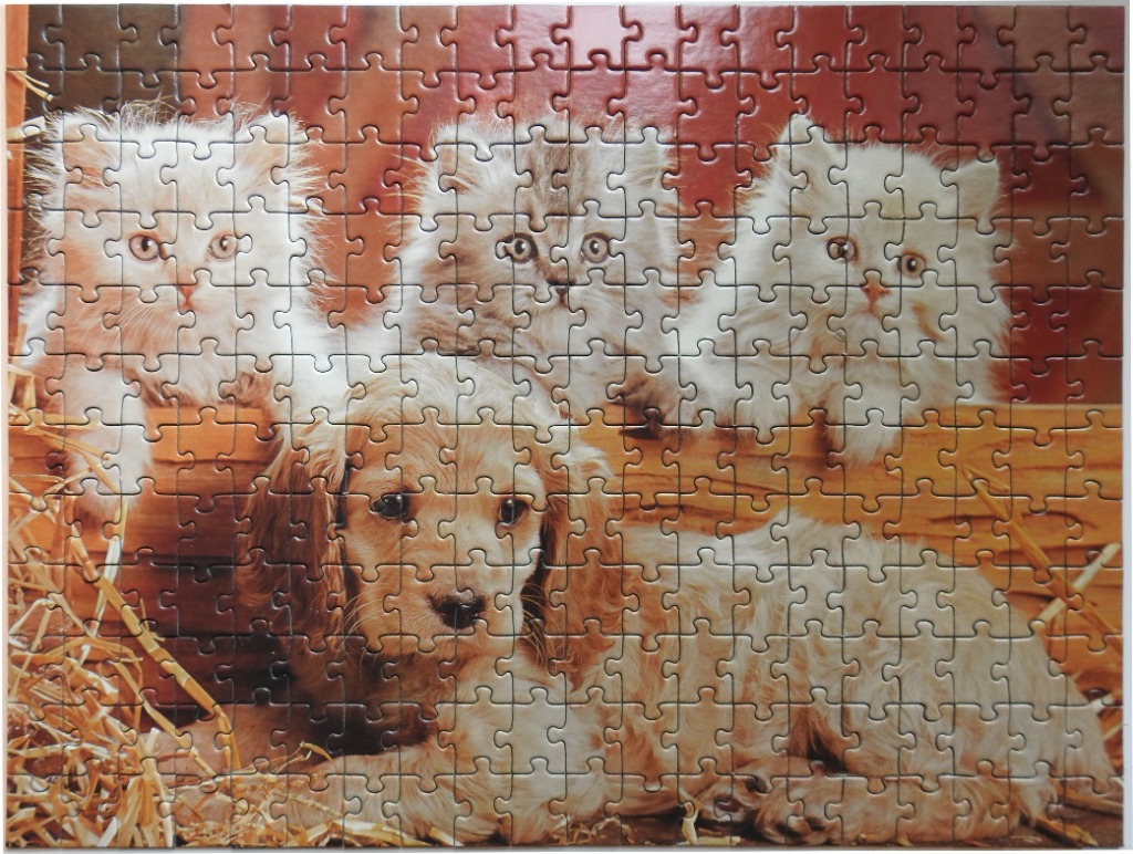 Three fluffy white kittens sitting behind a golden-colored puppy in a bed of straw.