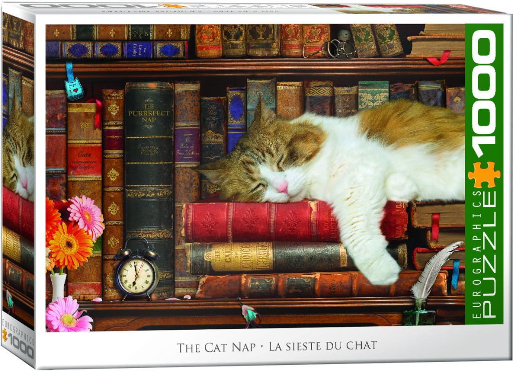 A ginger and white cat sleeping on top of a stack of antique books on a library shelf.