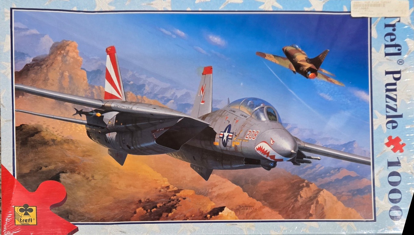 A detailed painting of two fighter jets flying over a desert mountain range.