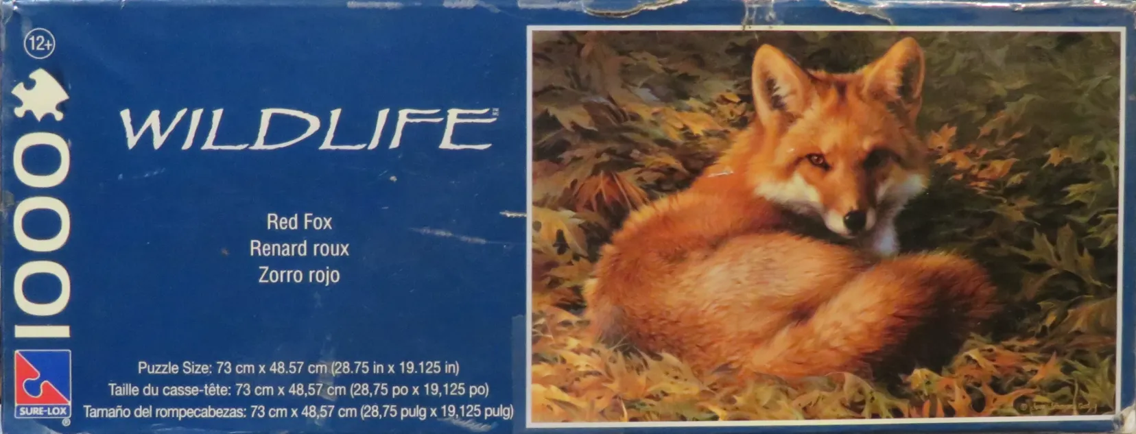 Red Fox
