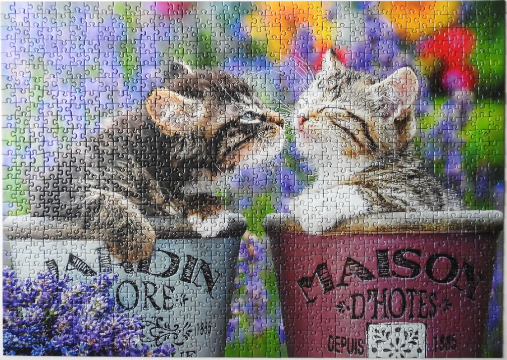 Two kittens sitting in decorative garden pots facing each other against a blurred, colorful floral background.