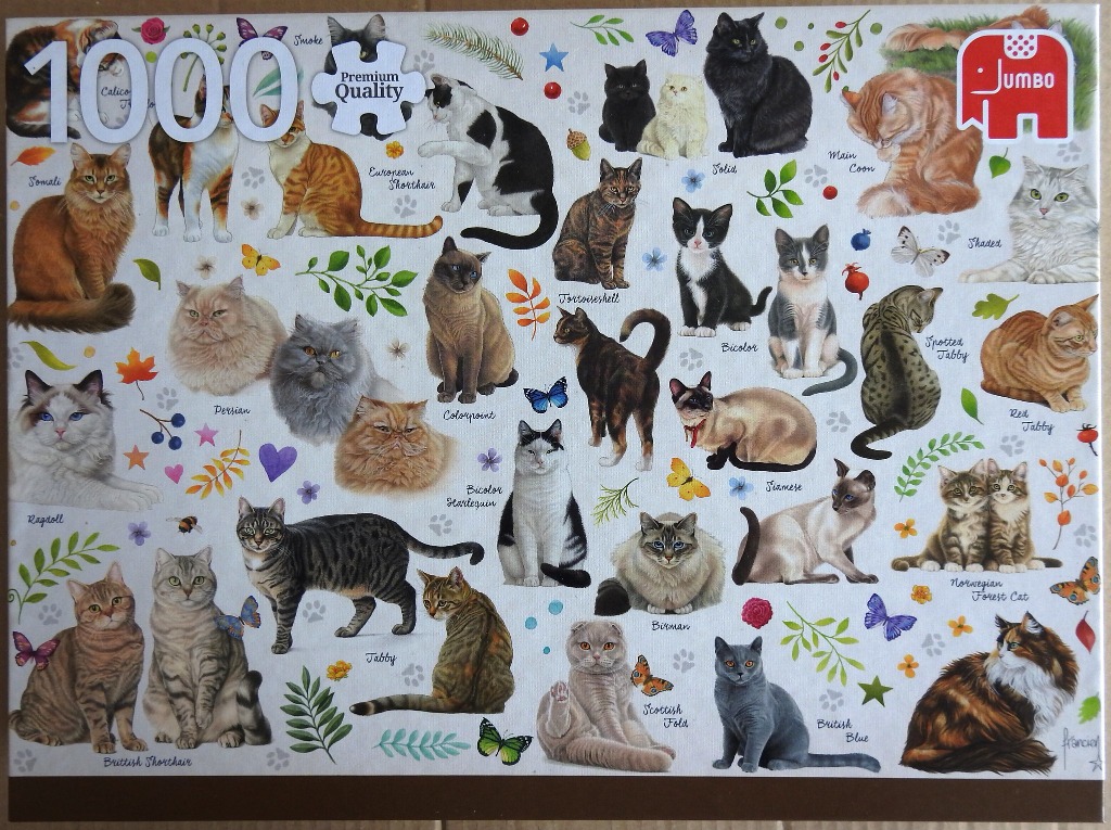 An illustrated collection of many different cat breeds arranged across a light background with flowers and butterflies.