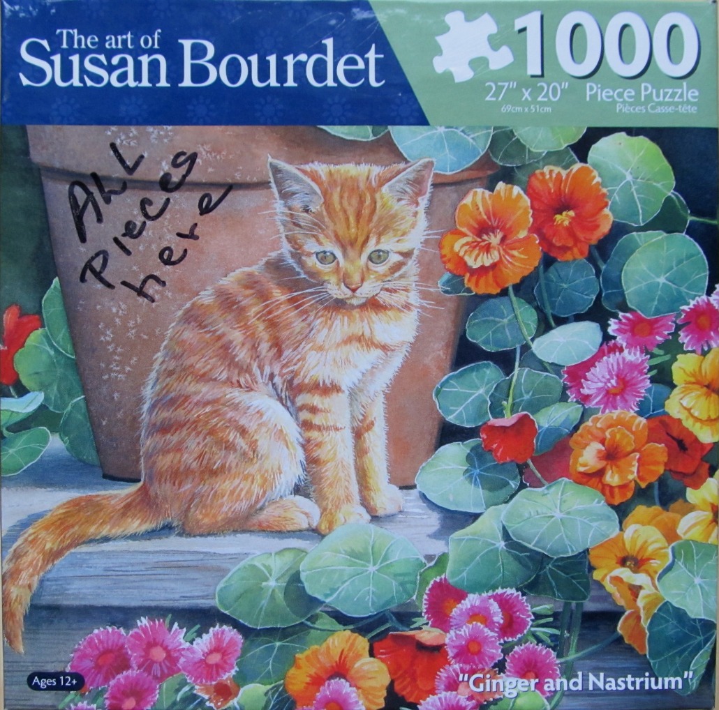 A ginger tabby kitten sitting in front of a terracotta pot surrounded by bright nasturtium flowers.