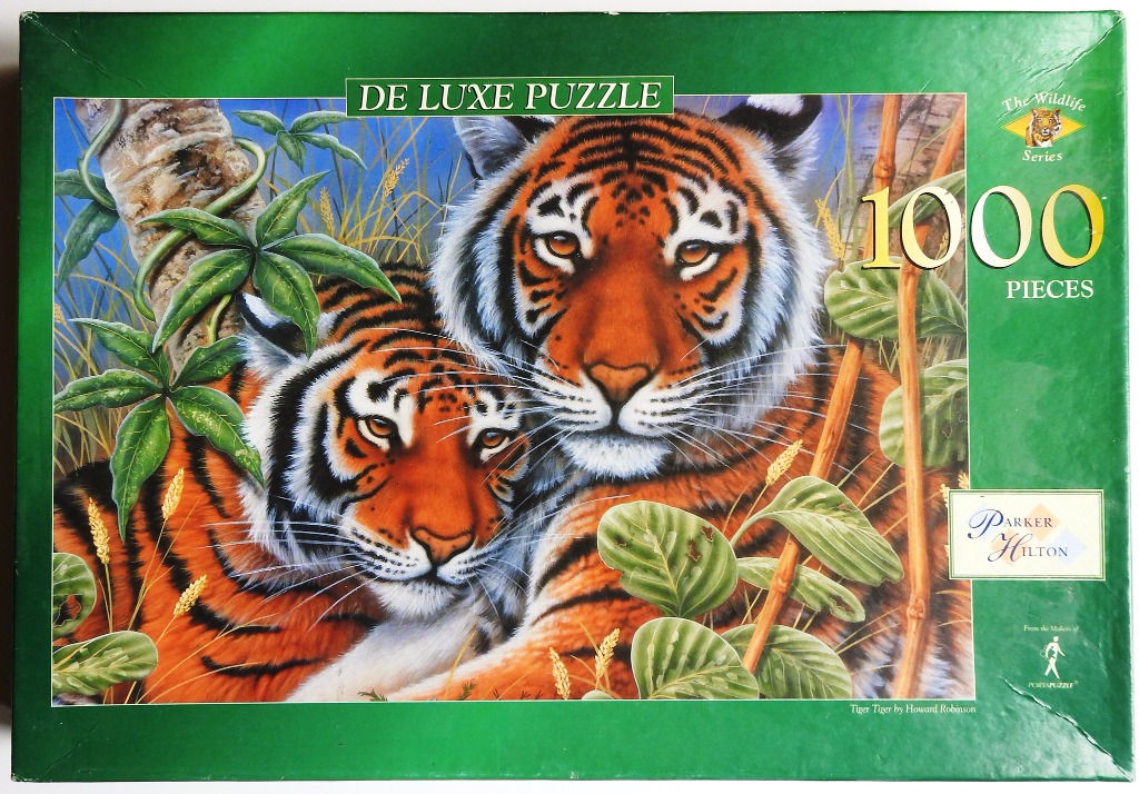Two tigers resting together in a lush, green jungle setting.
