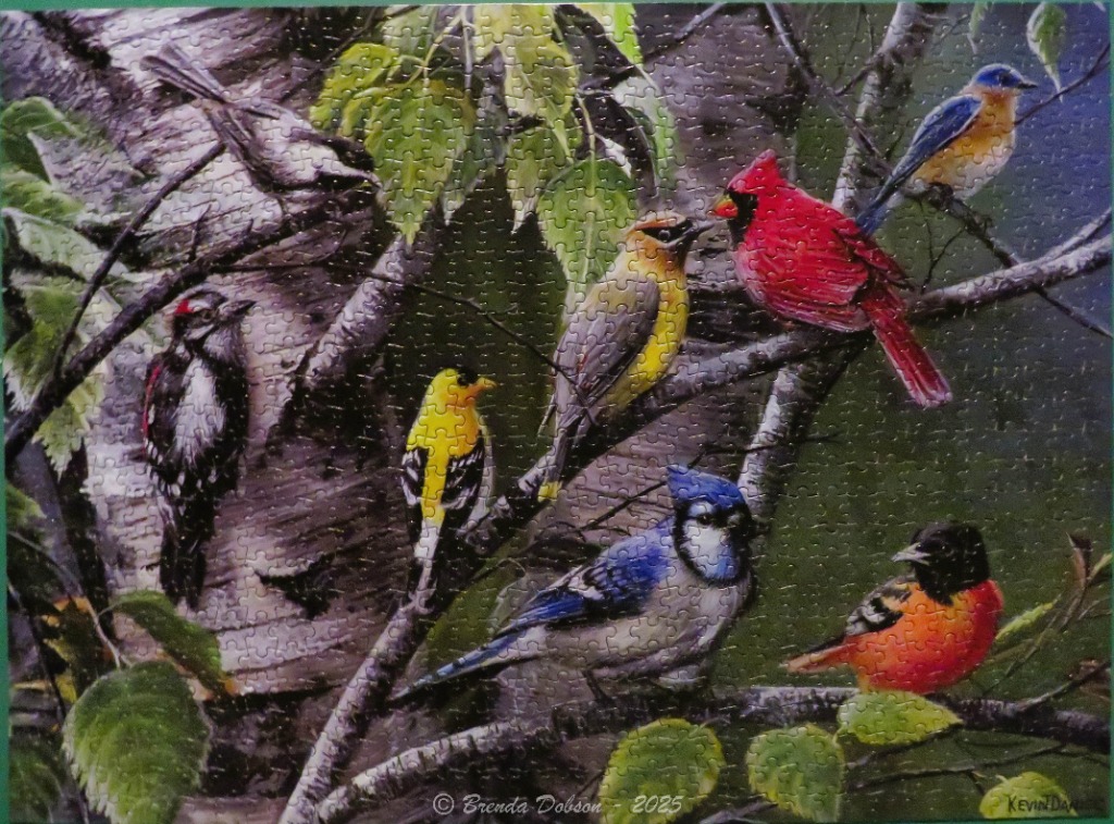 An illustration of six colorful birds perched on birch tree branches in a forest setting.