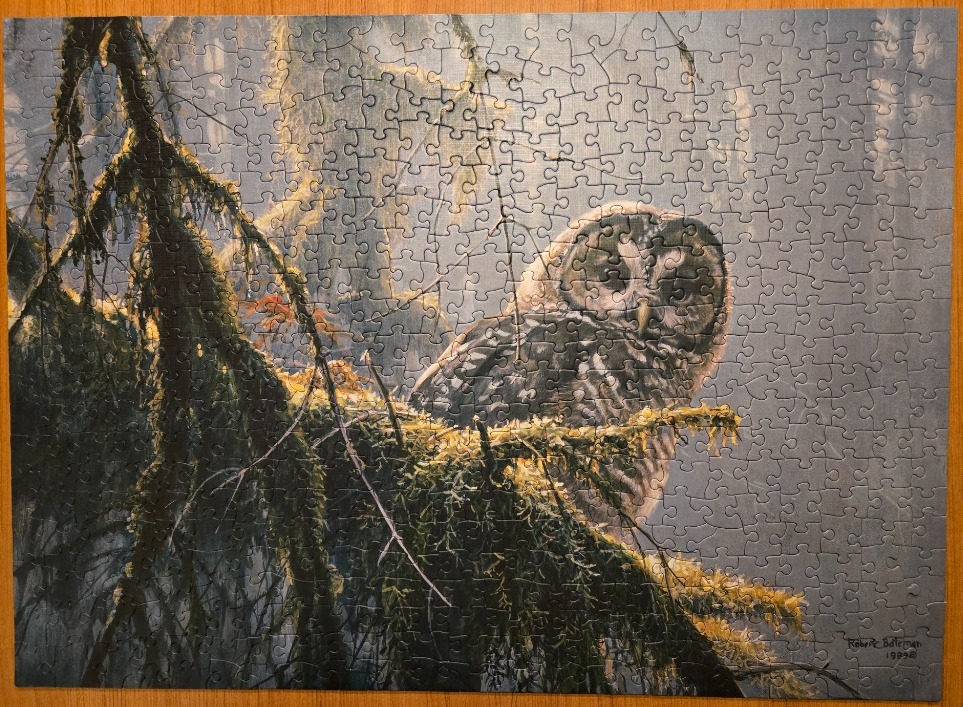 A detailed painting of an owl perched on a mossy evergreen branch in a misty, dark forest.