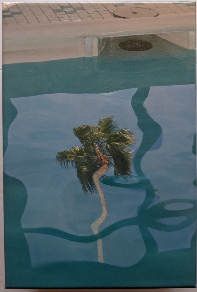 A palm tree reflected in the still, turquoise water of a swimming pool with a tiled edge visible at the top.