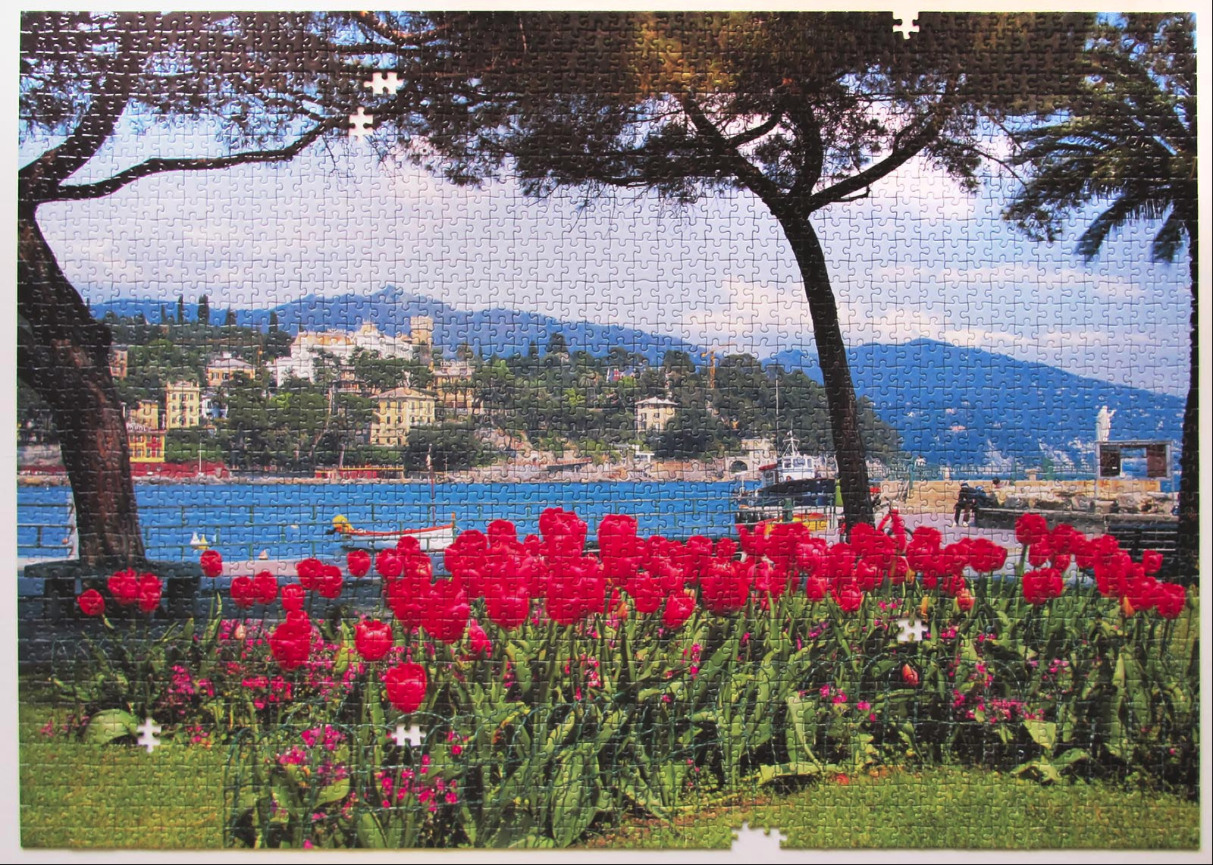 A vibrant garden of bright red tulips overlooking a Mediterranean harbor with hills in the background.