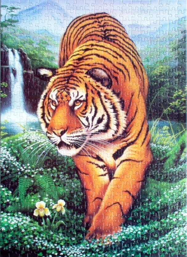 A majestic tiger walking through a lush green tropical forest with a waterfall in the background.