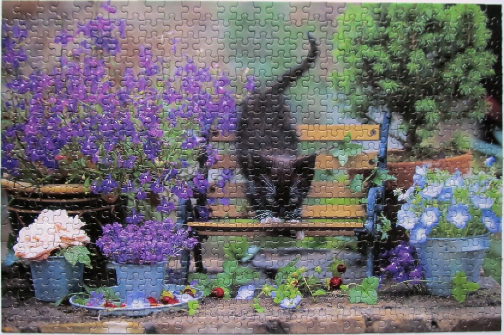 A black kitten playing on a wooden bench surrounded by potted purple and blue flowers in a garden setting.