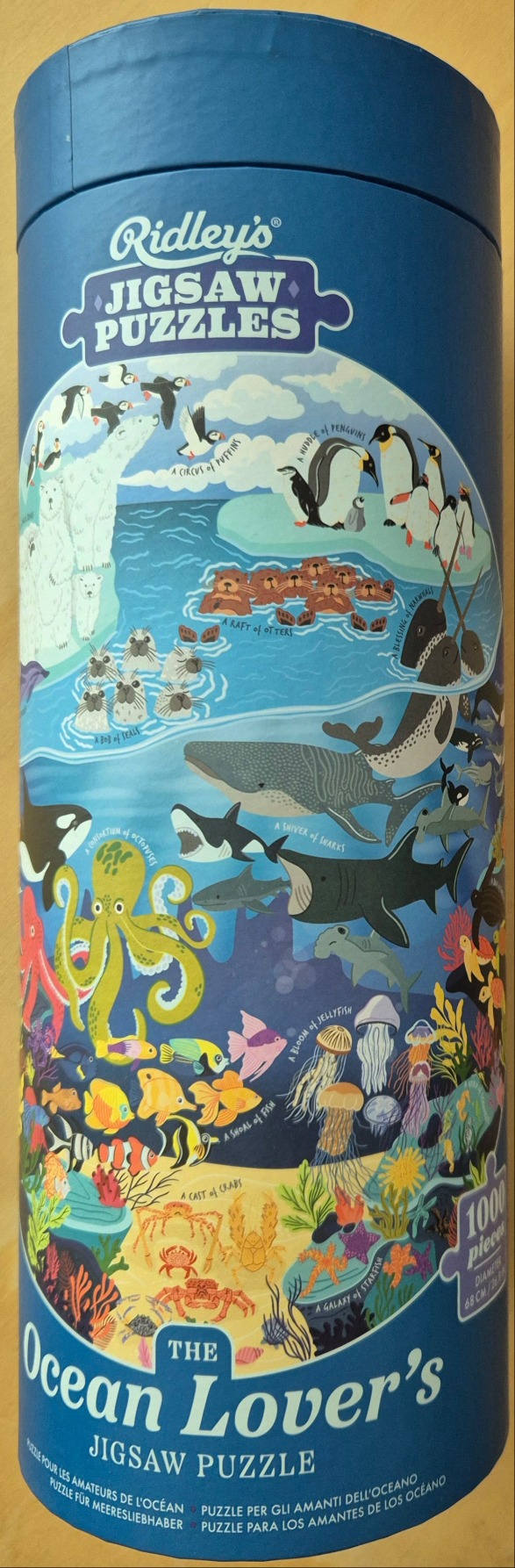An illustrated vertical ocean scene featuring various marine and arctic animals labeled with their collective nouns.