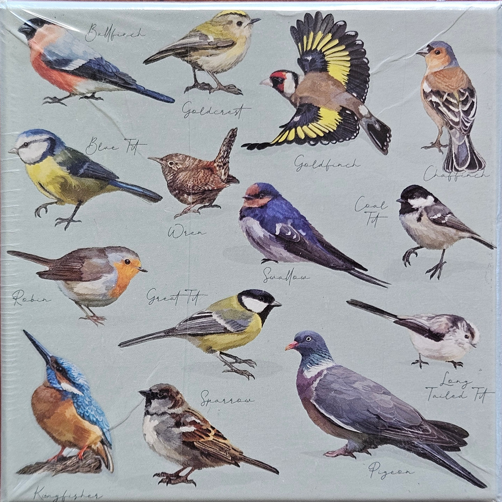 Scientific style illustration of fourteen British garden birds arranged on a plain grey background with text labels.