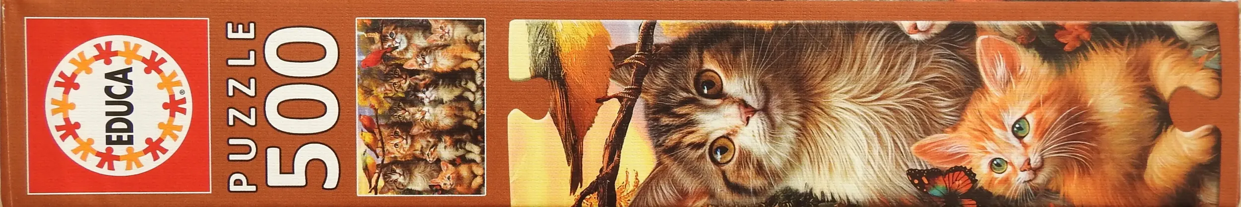 Kittens and Birds