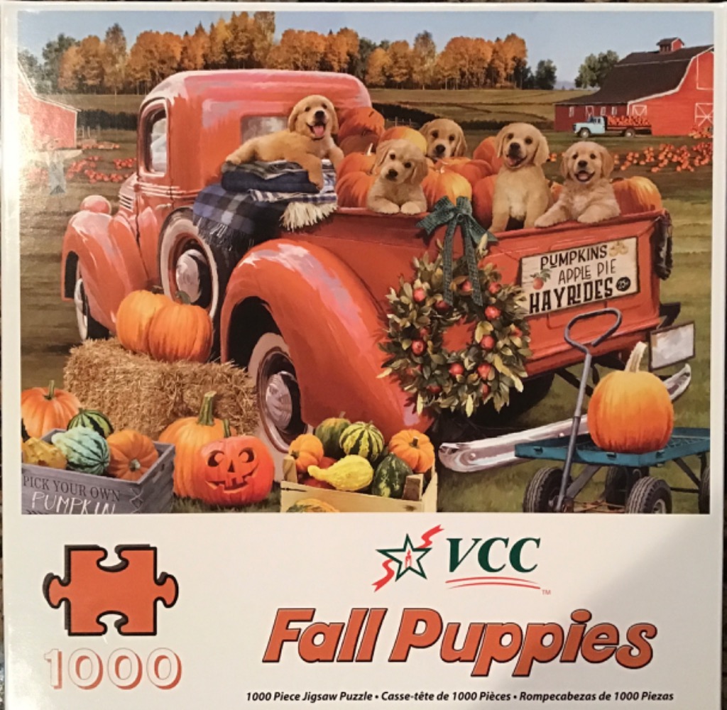 A group of five golden retriever puppies in the back of a vintage red pickup truck filled with pumpkins and fall decor.