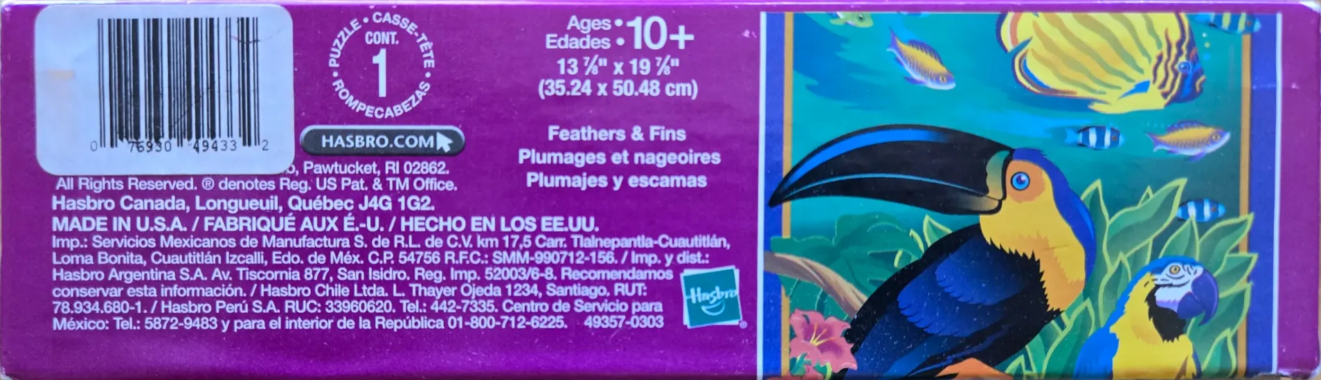 Feathers & Fins