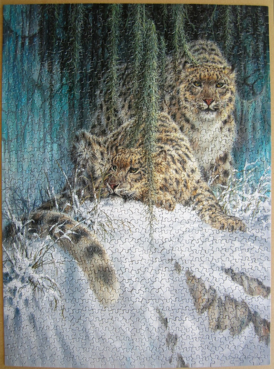 Two snow leopards resting in the snow beneath overhanging pine branches.