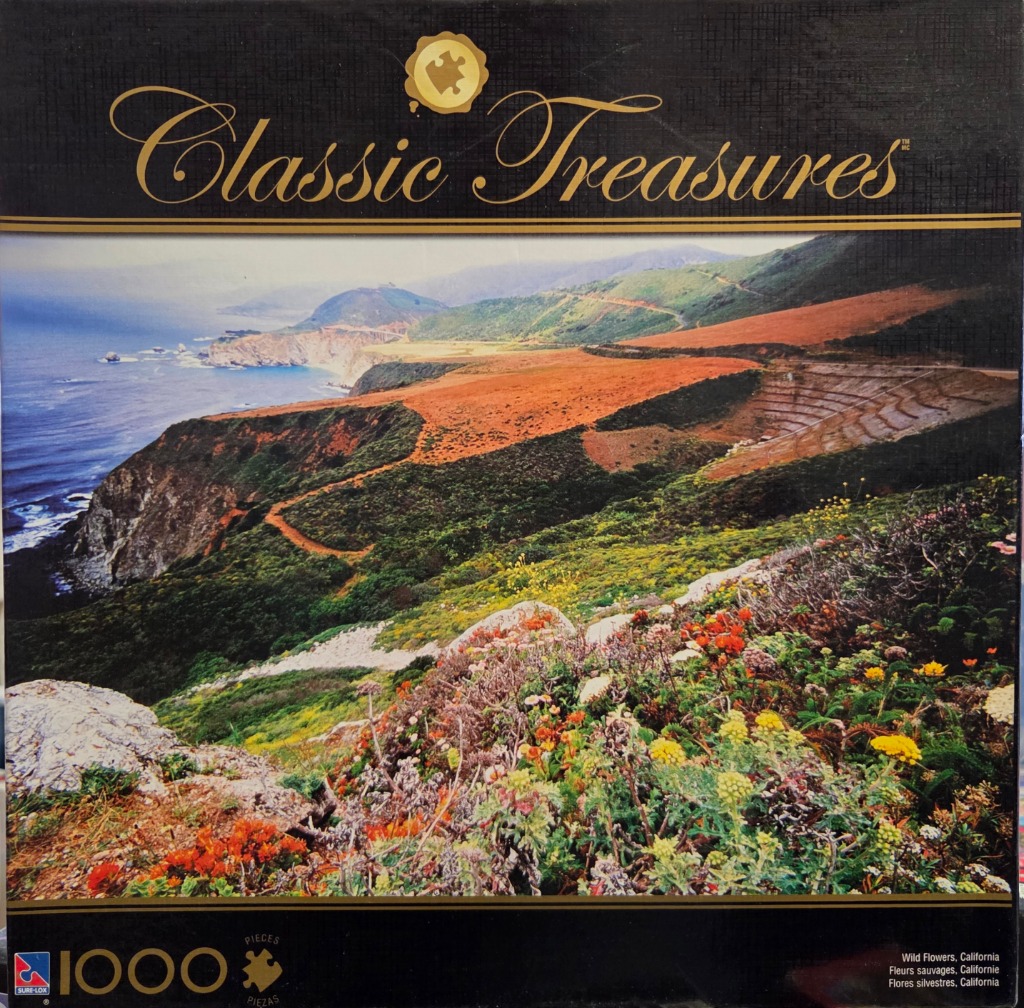 Coastal landscape with California wildflowers in the foreground overlooking cliffs and the ocean.