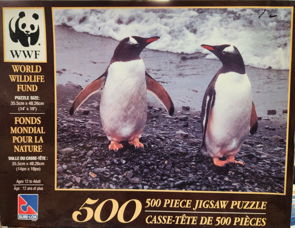 Two Gentoo penguins standing on a rocky beach with white sea foam in the background.