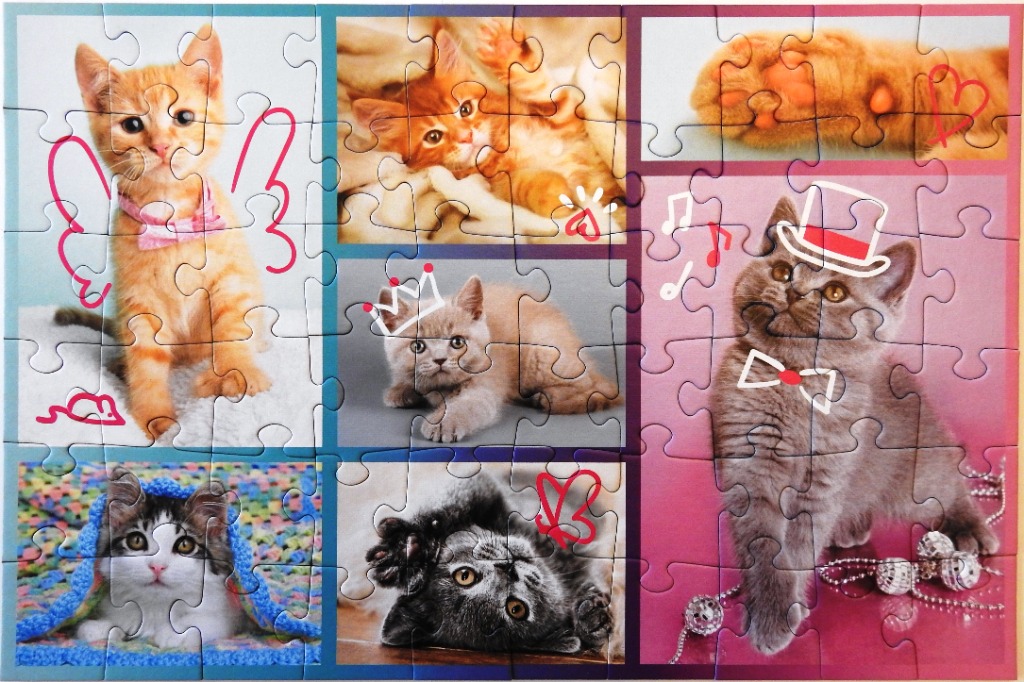 A collage of six kitten photographs decorated with whimsical line drawings of wings, crowns, hats, and musical notes.