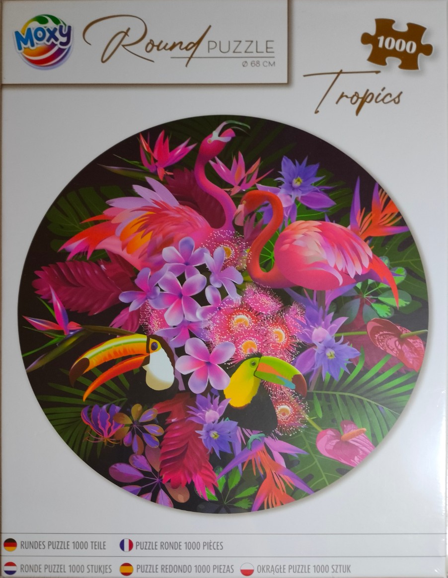 Tropical illustration featuring two flamingos and two toucans nestled among vibrant exotic flowers and dark foliage.