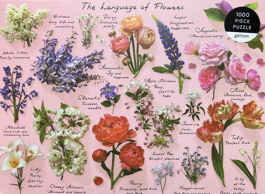 A botanical collection of various flowers labeled with their symbolic meanings against a soft pink background.