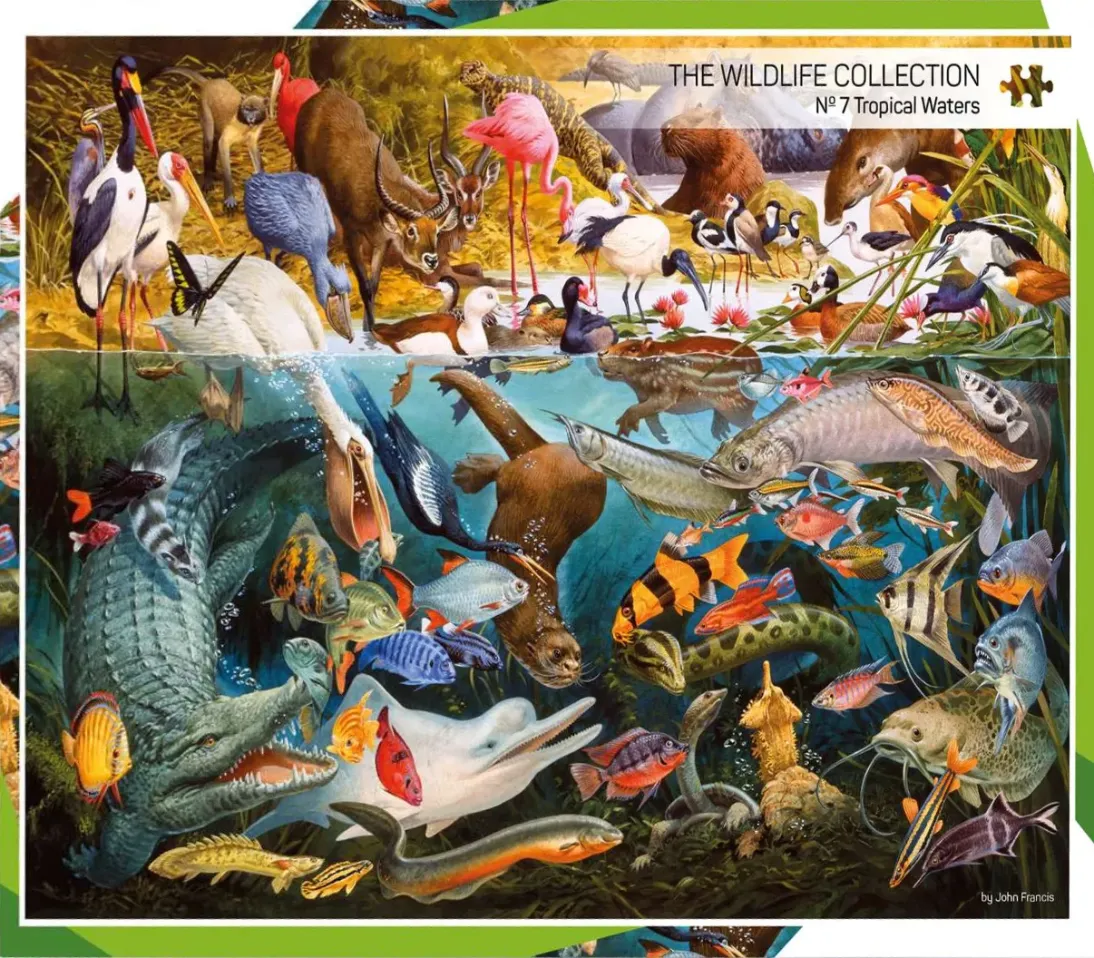 Detailed painting of tropical wildlife split between a river surface and an underwater scene.