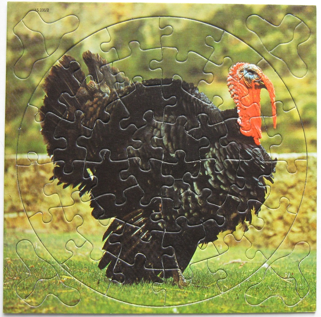 A photograph of a wild turkey standing in a grassy field inside a circular frame.