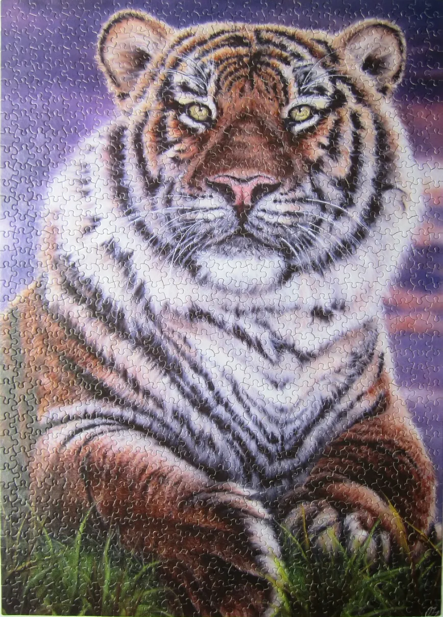A close-up illustration of a majestic tiger facing forward against a twilight purple sky.