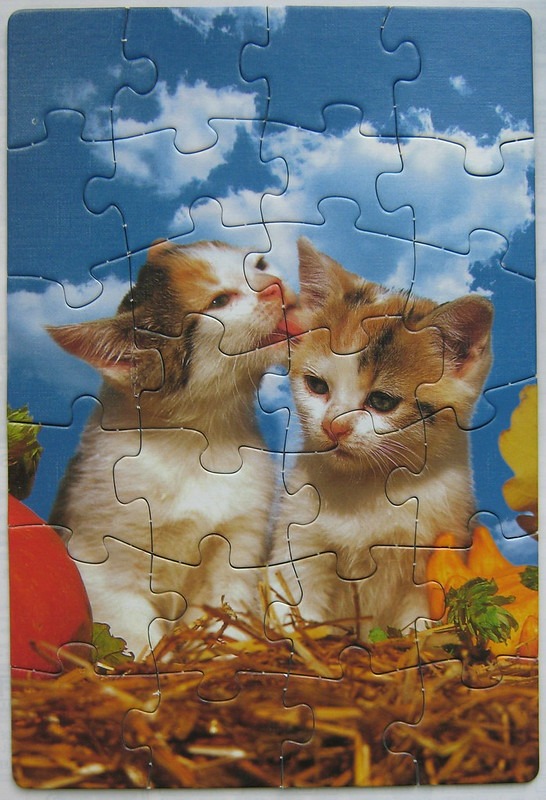 Two calico kittens sitting in hay against a blue sky