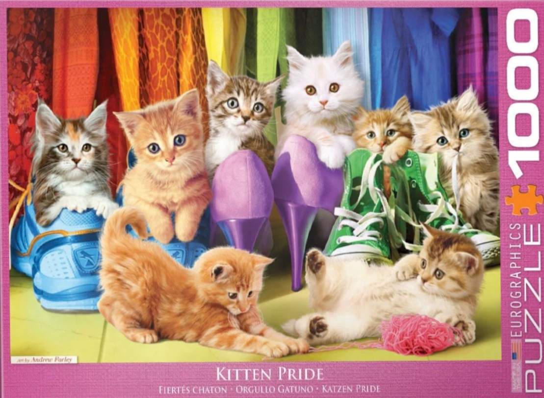 Seven fluffy kittens of various breeds and colours posing among colourful shoes and clothing.