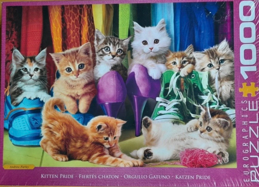 Seven fluffy kittens posing with colorful shoes and yarn against a backdrop of hanging fabrics.