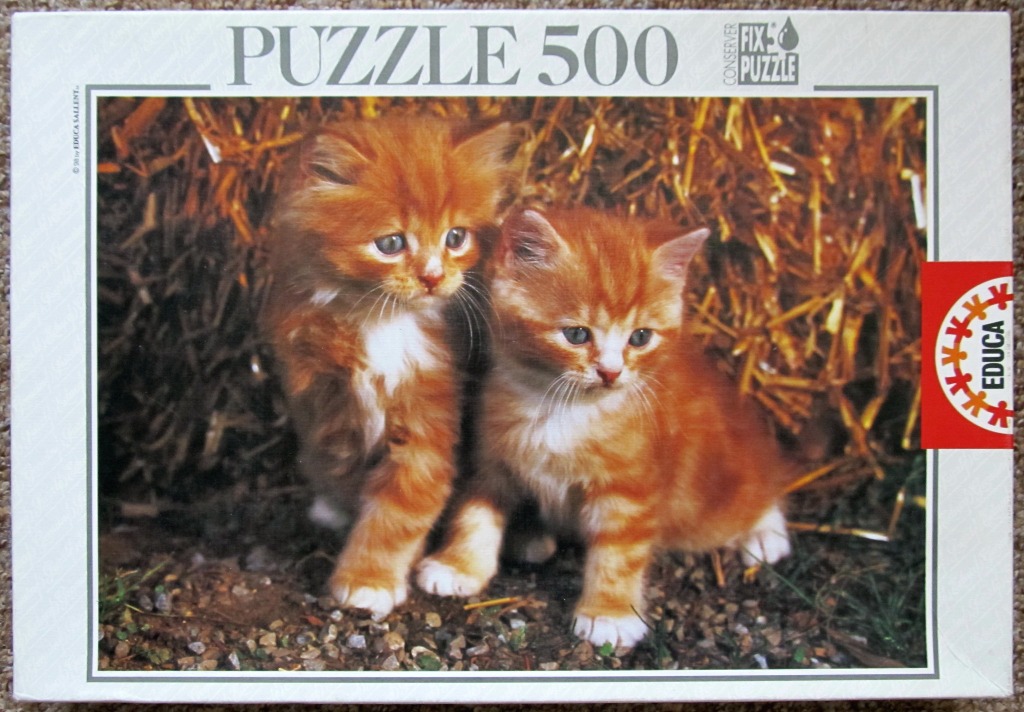 Two fluffy ginger kittens standing in front of a pile of golden straw.