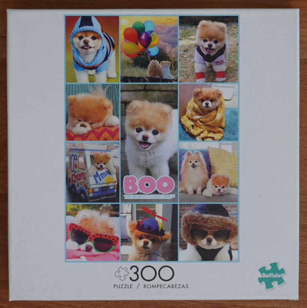 A collage of eleven photographs featuring Boo, the fluffy Pomeranian dog, in various costumes and poses.