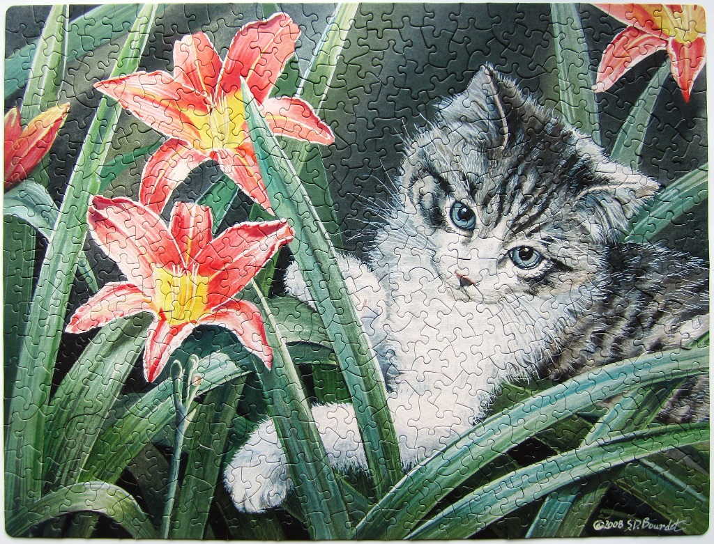 A fluffy tabby kitten peering through vibrant orange lily flowers and long green leaves.