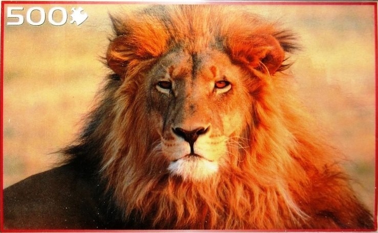 A close-up photographic portrait of a male lion with a large, vibrant orange-gold mane.