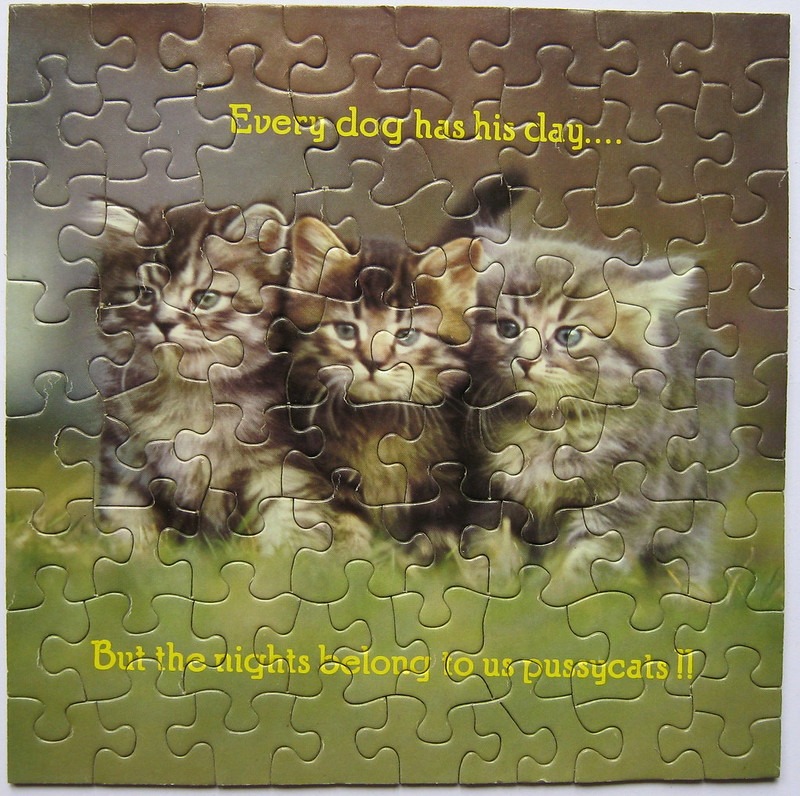Three fluffy kittens sitting in grass with text above and below them.