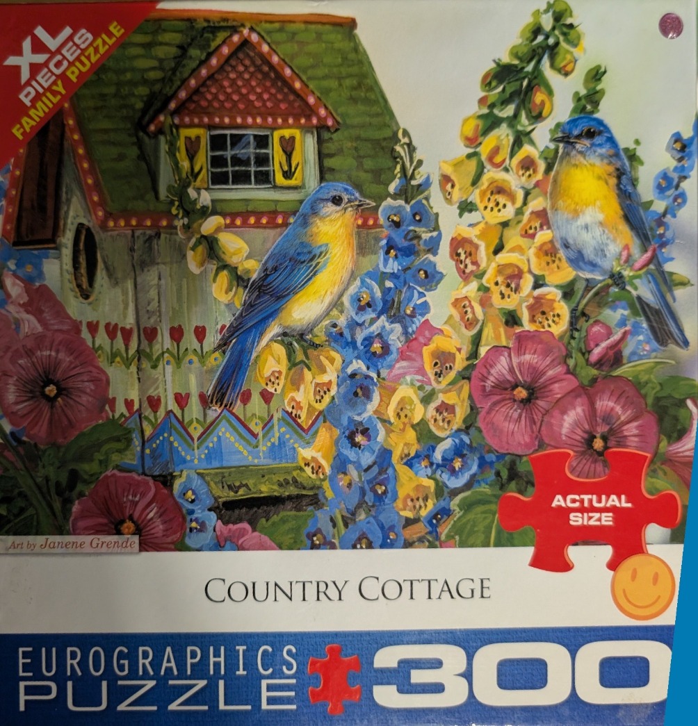 Two bluebirds perched among vibrant flowers and a decorative birdhouse in a painting.