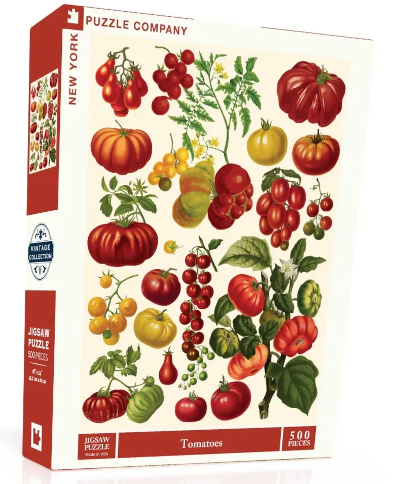 Botanical illustration of various tomato varieties on a cream background.