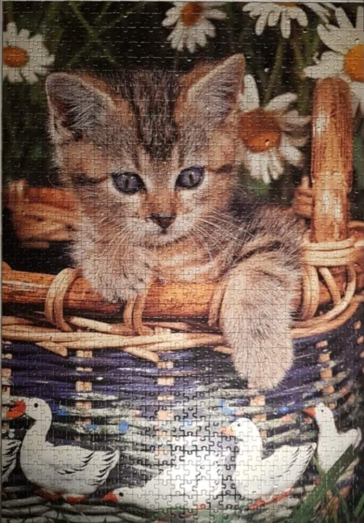 A tabby kitten sitting in a wicker basket decorated with a goose pattern, surrounded by daisies.