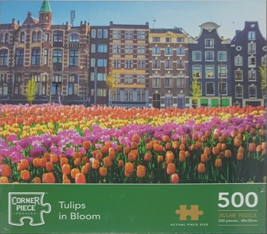A vibrant field of orange, pink, and yellow tulips in front of historic Dutch canal houses.