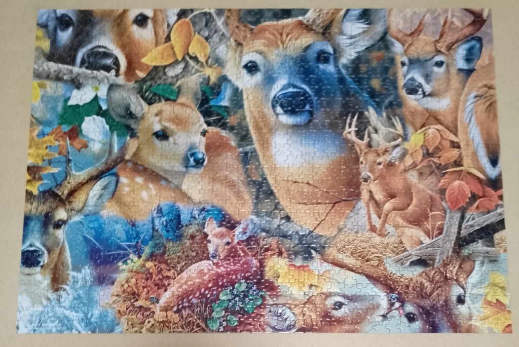 A montage of several white-tailed deer and fawns in an autumnal forest setting