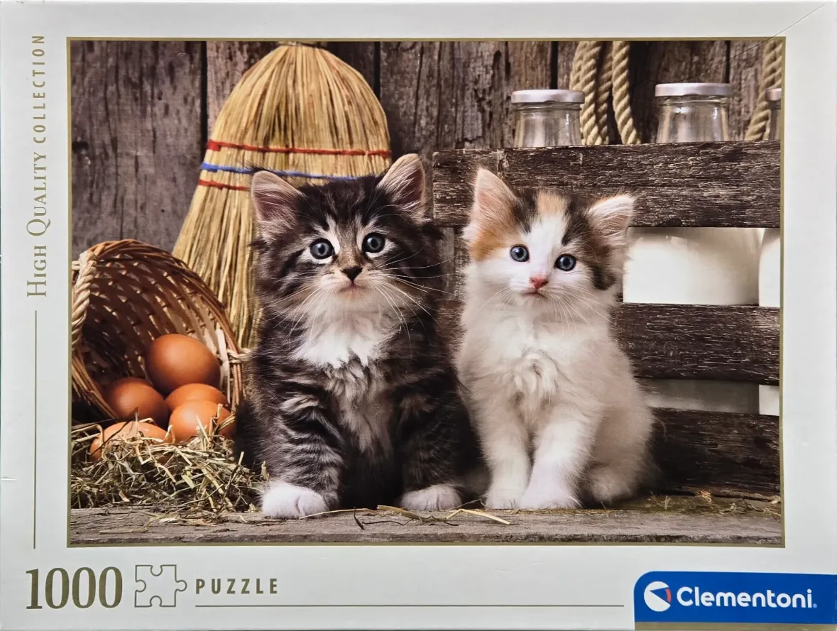 Two fluffy kittens, one grey tabby and one calico, sitting on a wooden surface in a rustic barn setting.
