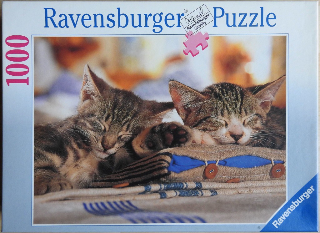 Two tabby kittens sleeping curled up together on a small blue and tan cushion.